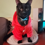 imagen_2025-11-23_171922110