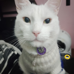 imagen_2025-11-23_201005086